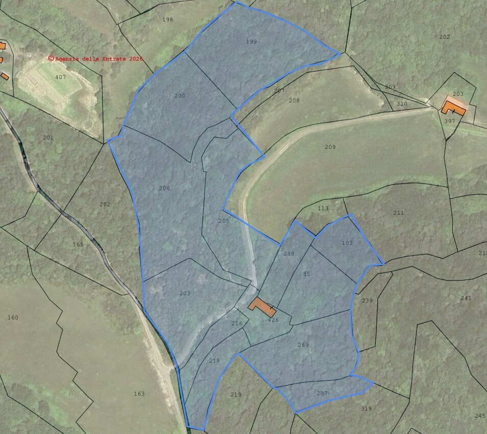 immagine annuncio 2 di 7