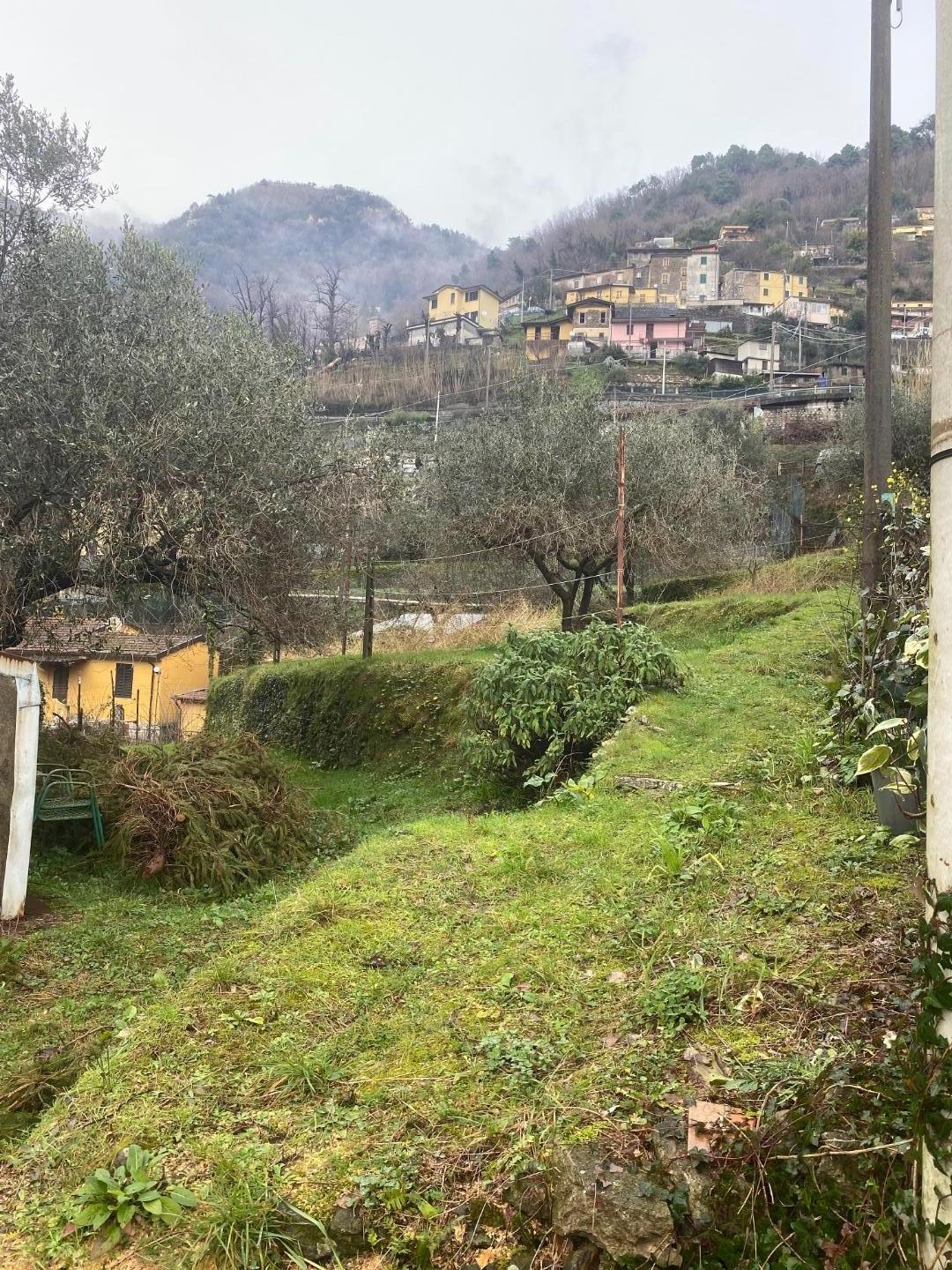 immagine annuncio 4 di 8