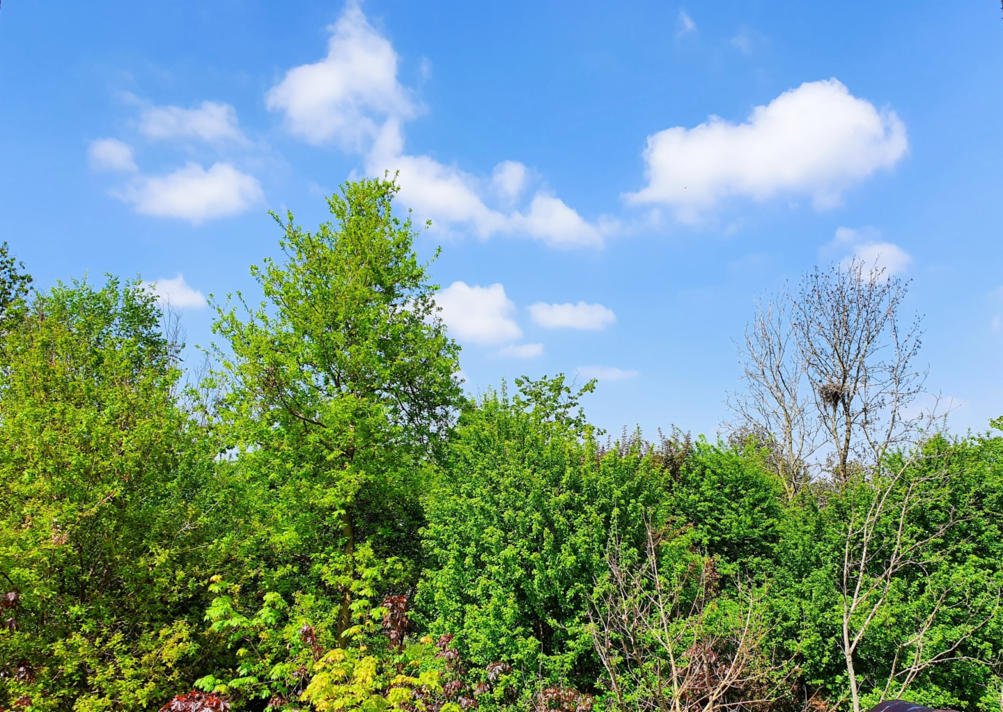 immagine annuncio 2 di 8