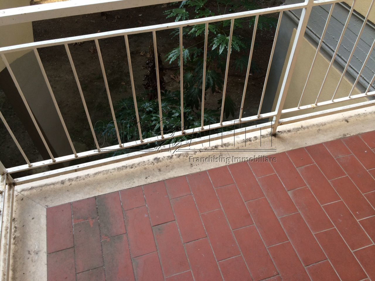 immagine annuncio 2 di 6