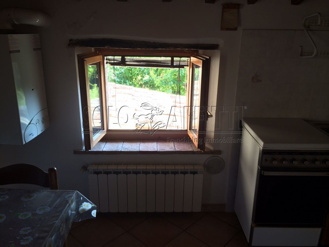 immagine annuncio 4 di 8