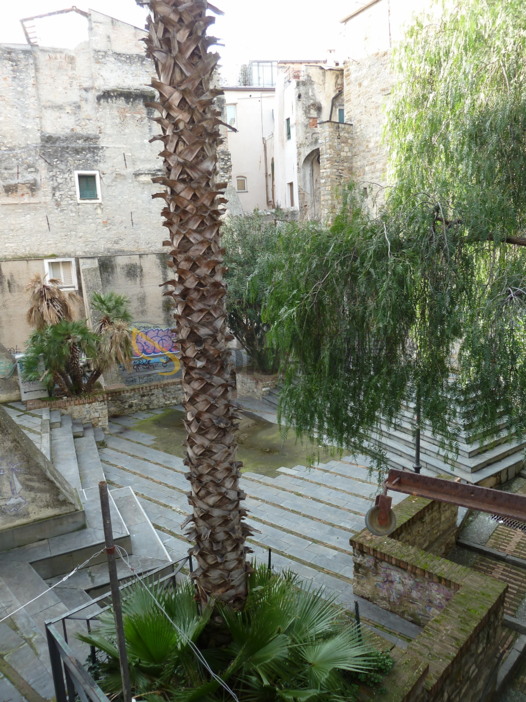 immagine annuncio 6 di 9