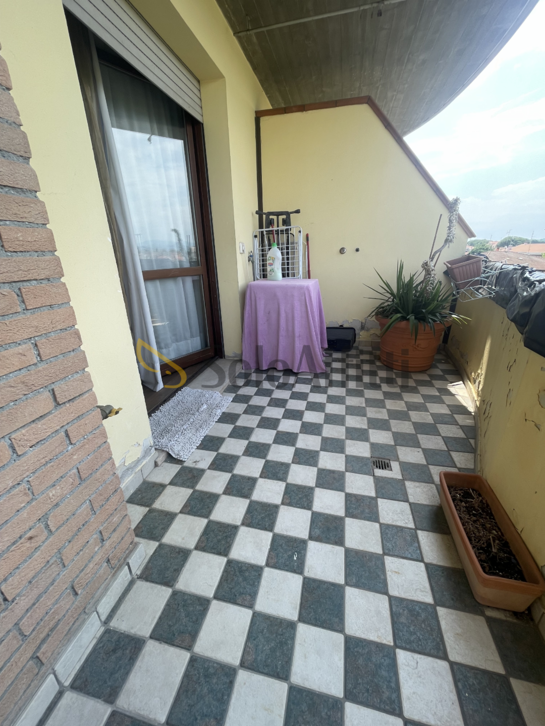 immagine annuncio 3 di 7