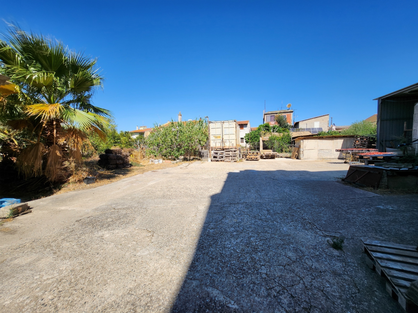 immagine annuncio 3 di 8