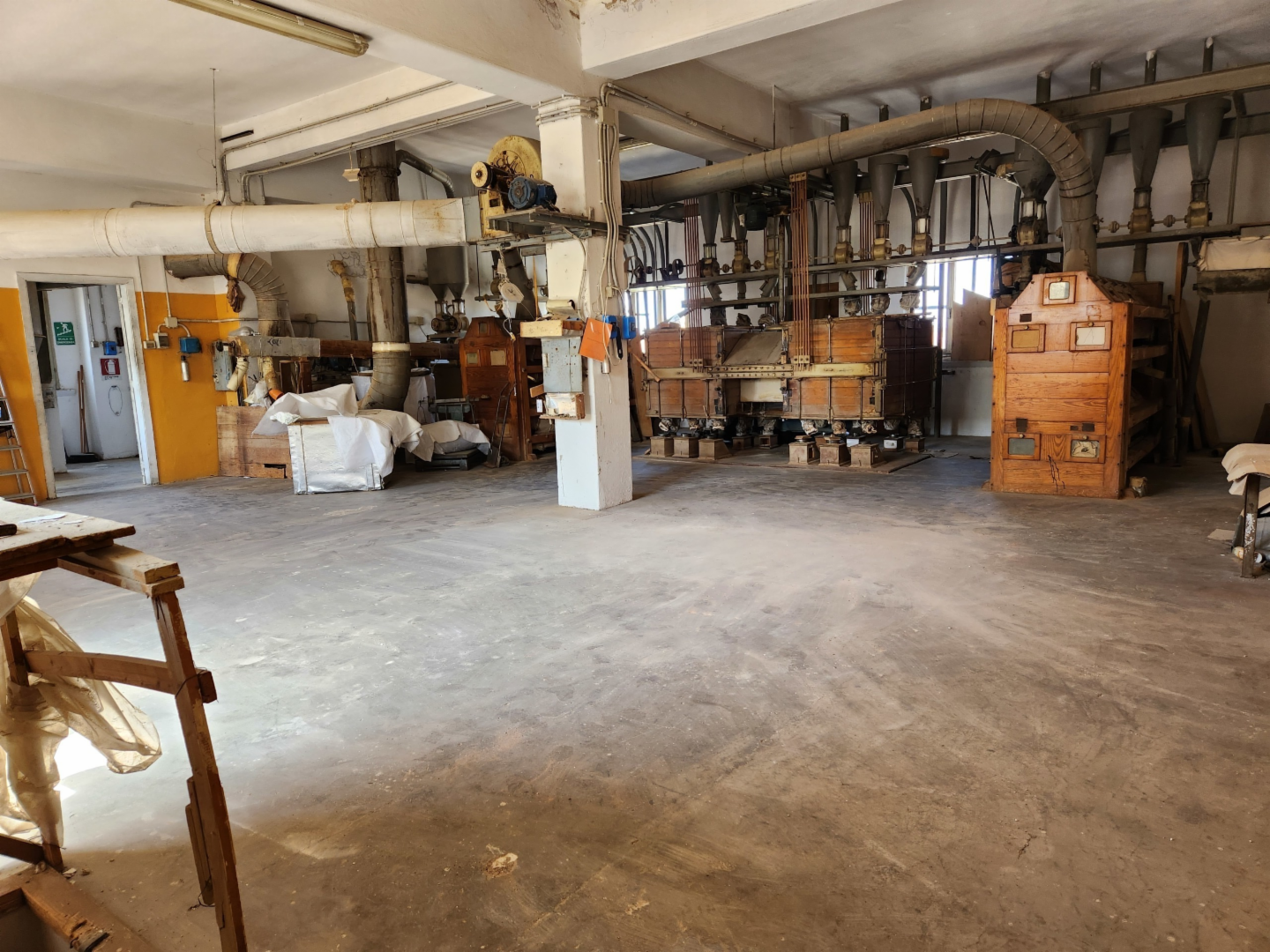 immagine annuncio 6 di 8