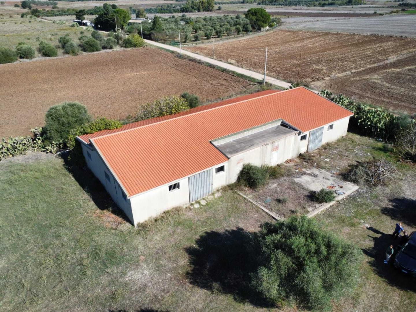 immagine annuncio 1 di 10