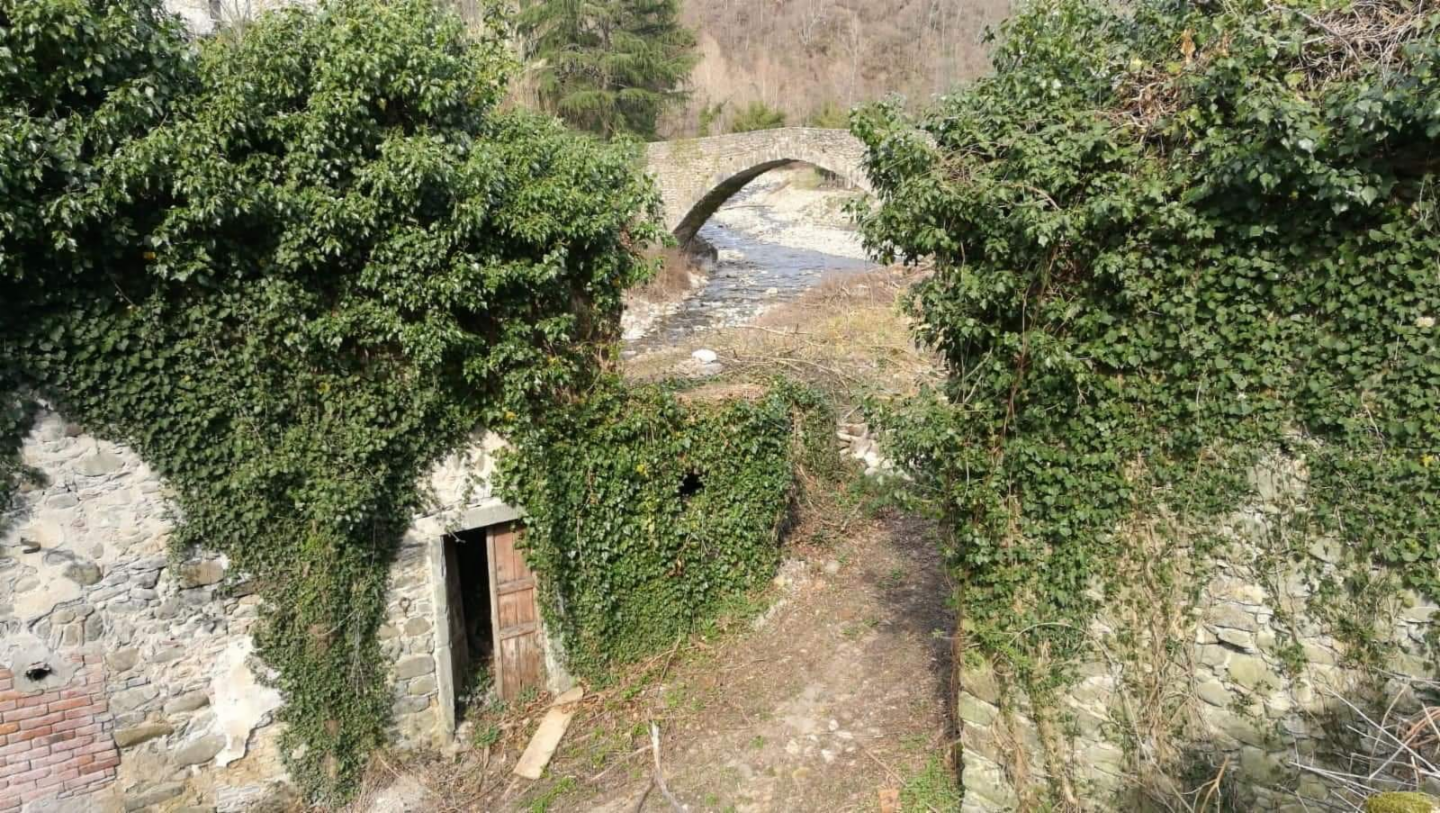 immagine annuncio 1 di 6