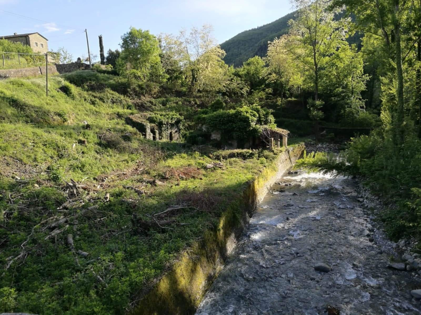 immagine annuncio 3 di 6