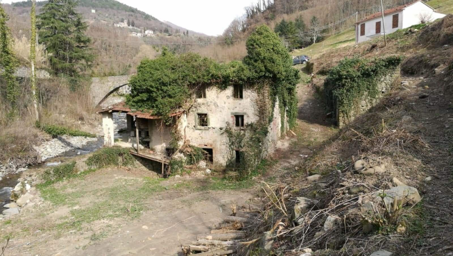 immagine annuncio 2 di 6