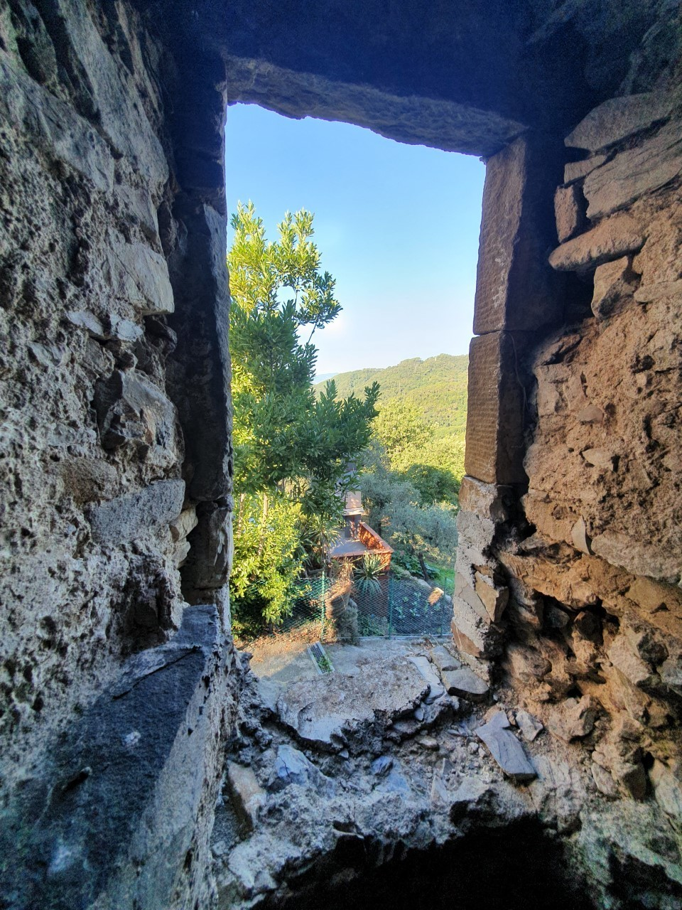 immagine annuncio 8 di 9