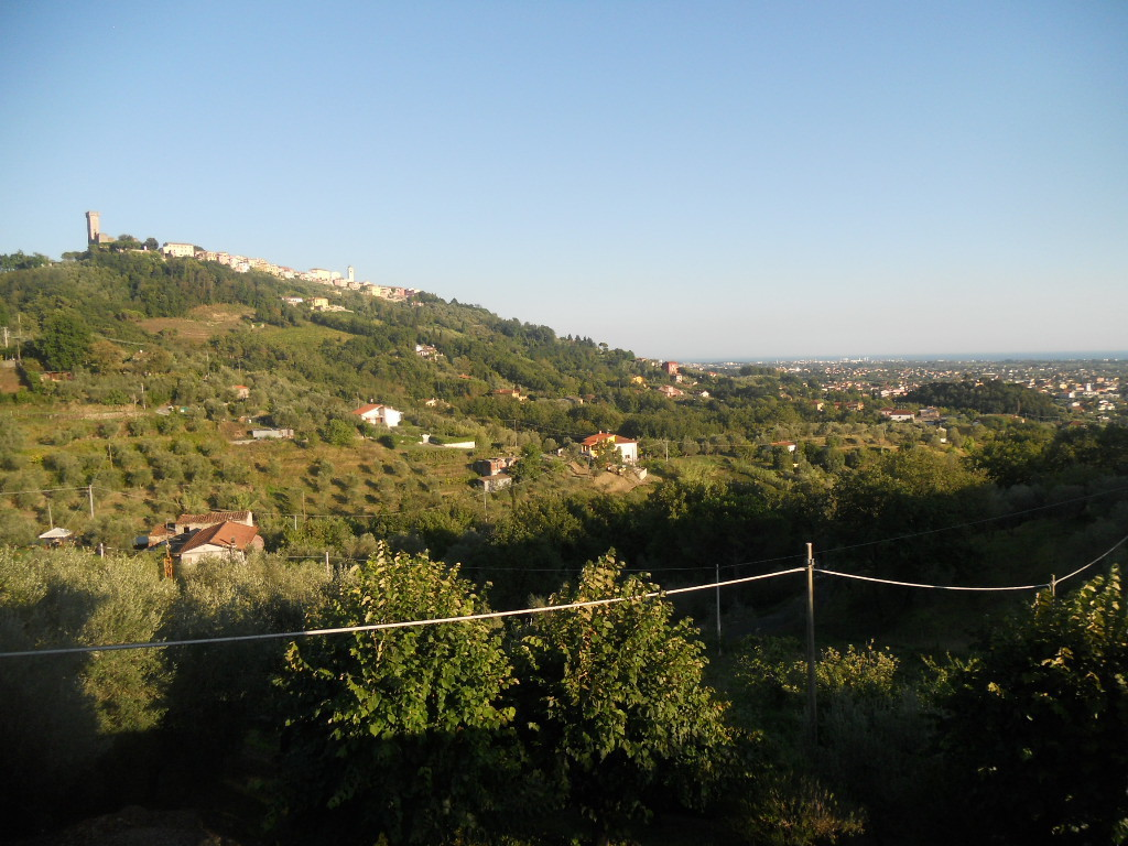 immagine annuncio 3 di 8