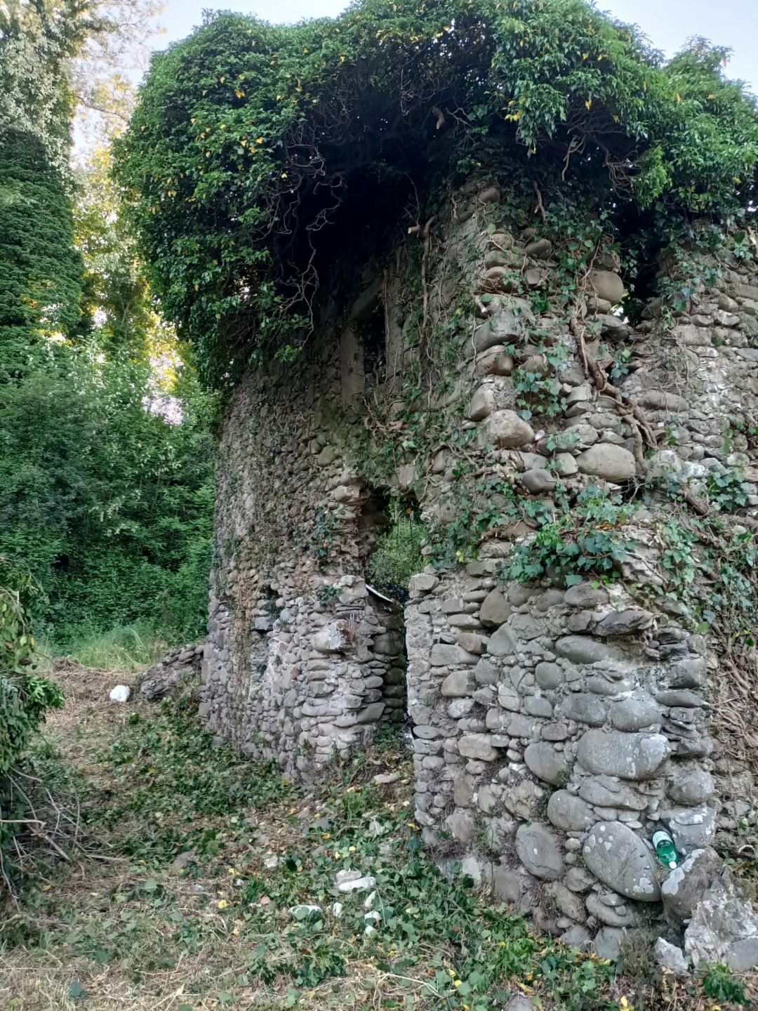 immagine annuncio 6 di 10