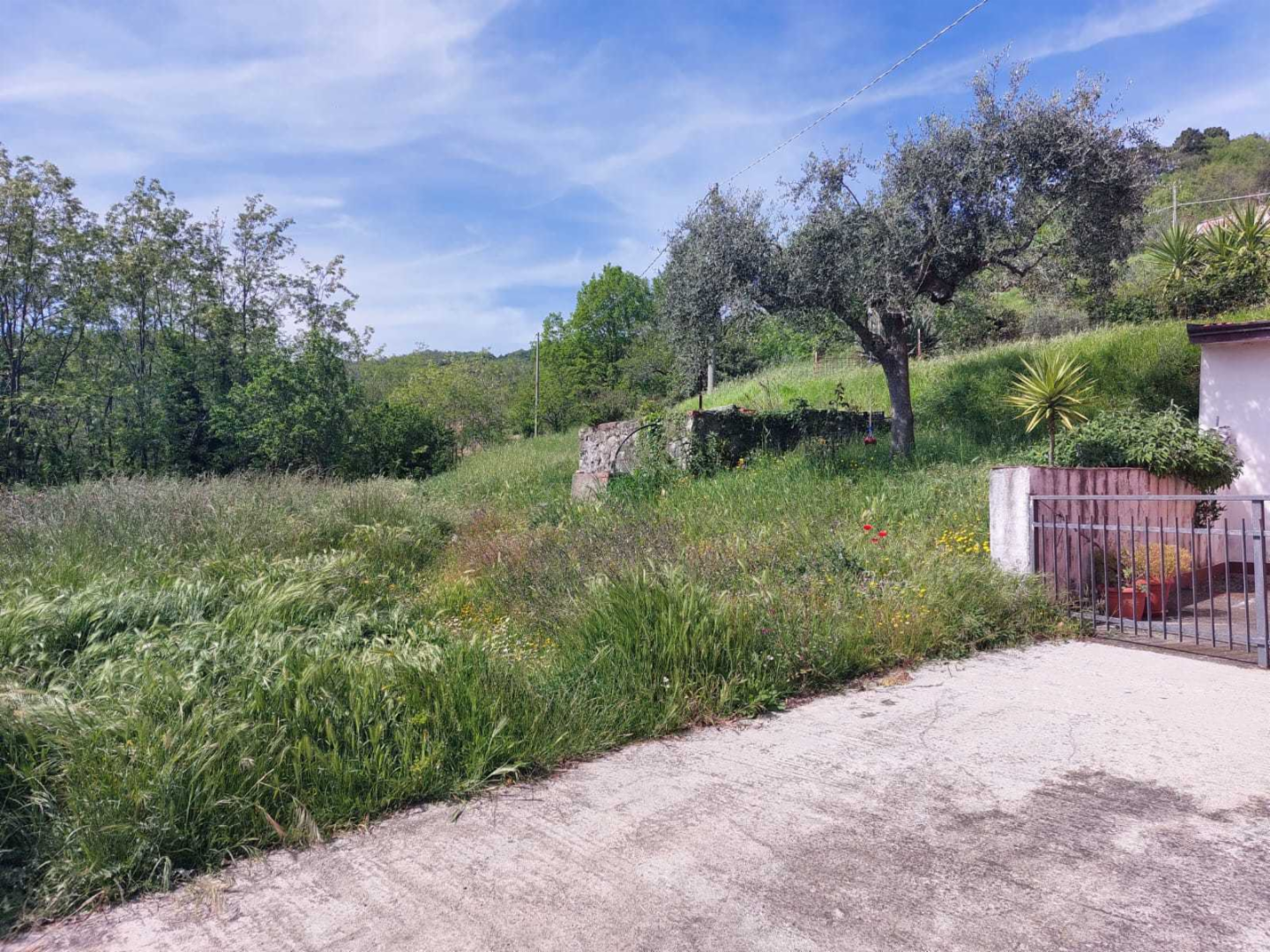 immagine annuncio 5 di 10