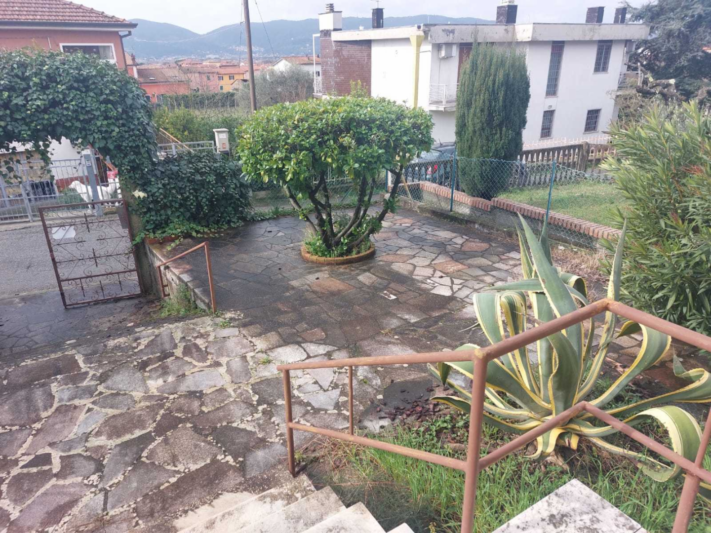 immagine annuncio 6 di 10