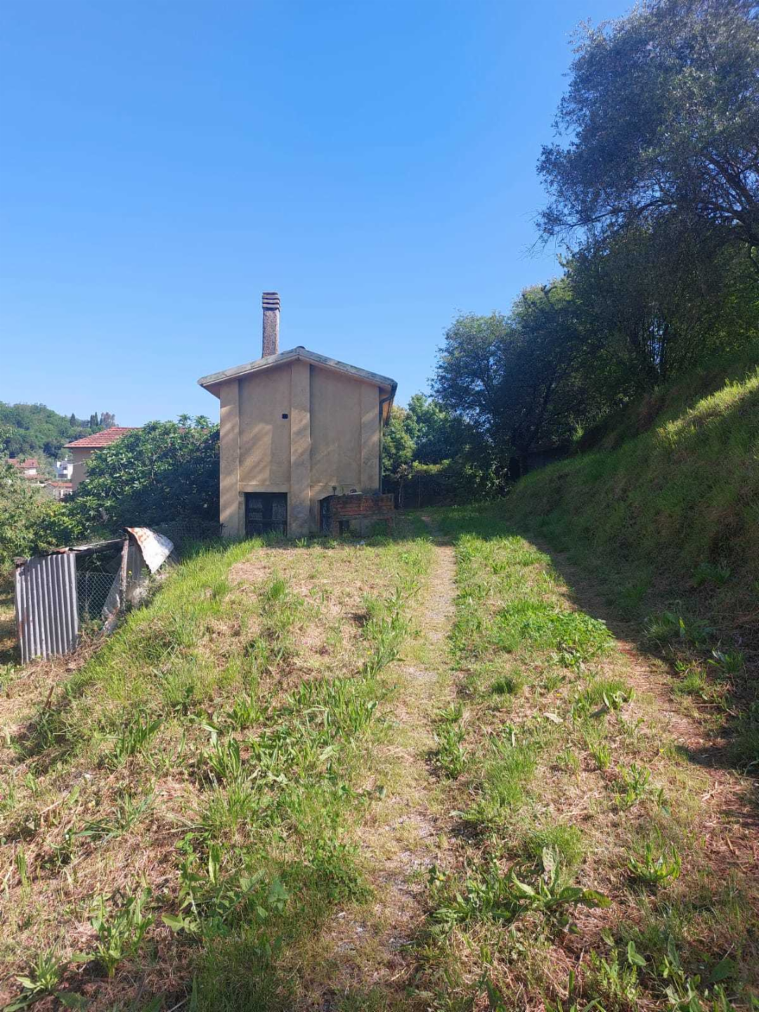 immagine annuncio 5 di 10