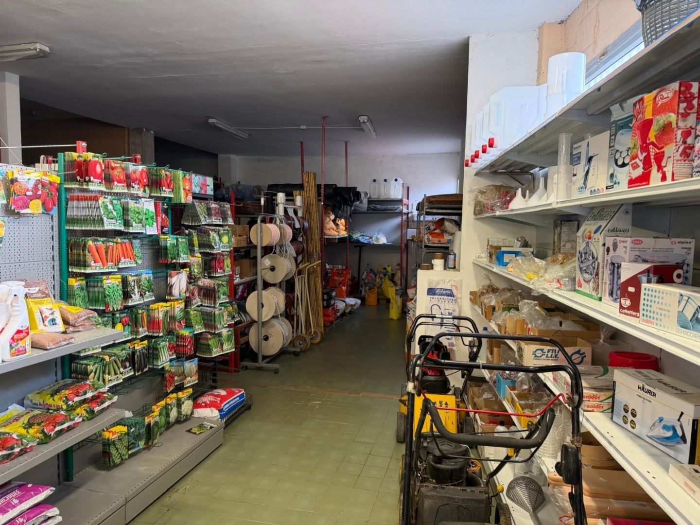 immagine annuncio 3 di 10