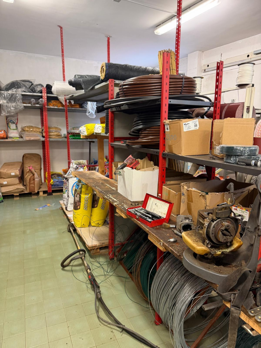 immagine annuncio 6 di 10