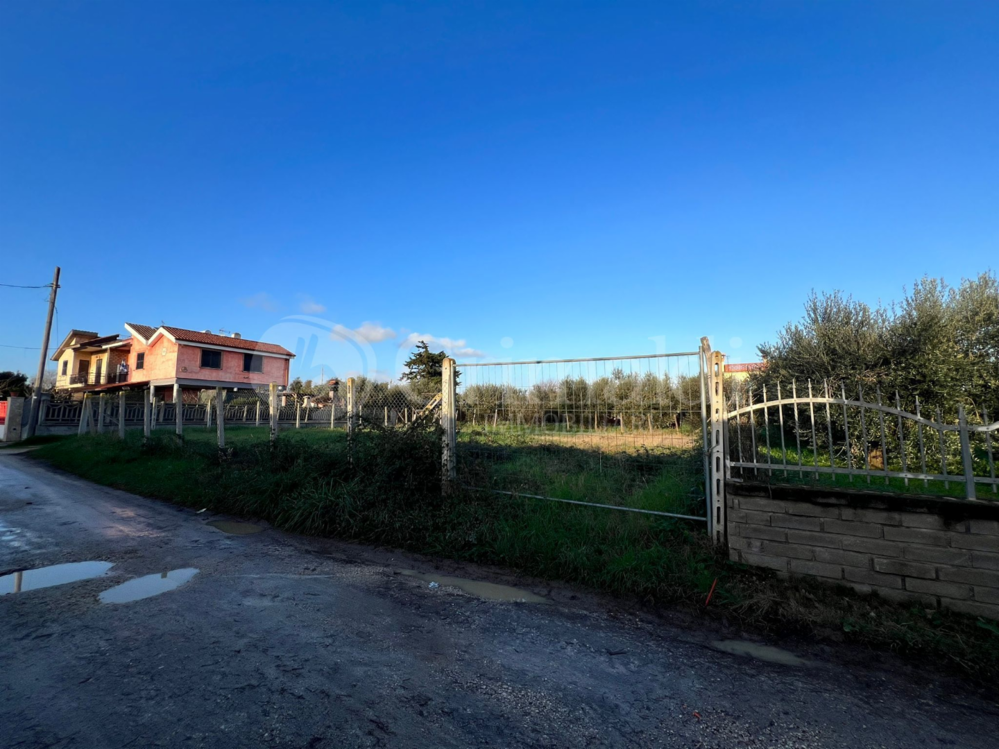 immagine annuncio 2 di 7