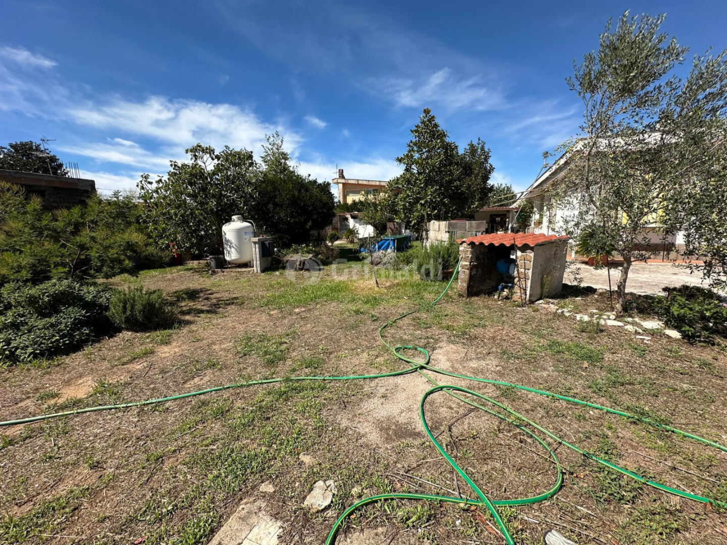 immagine annuncio 6 di 10