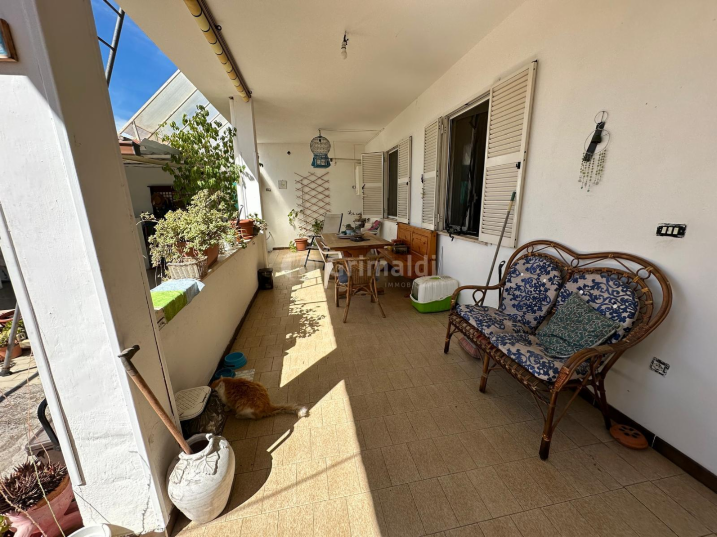 immagine annuncio 6 di 10