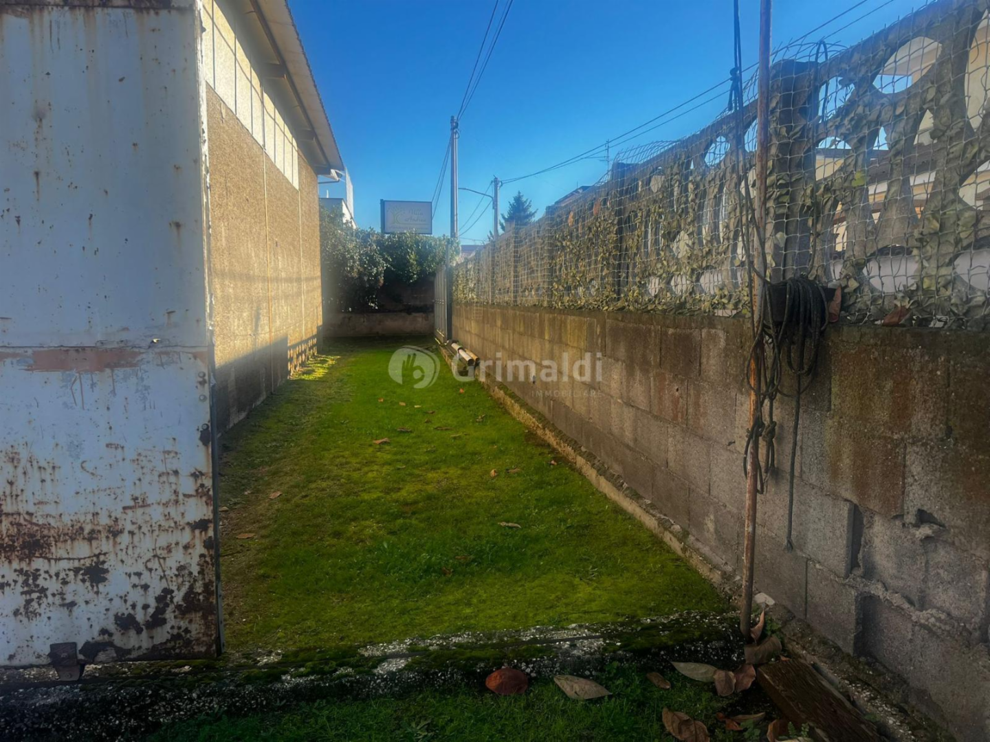 immagine annuncio 3 di 4