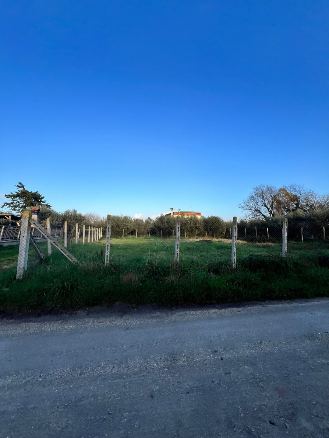 immagine annuncio 1 di 7