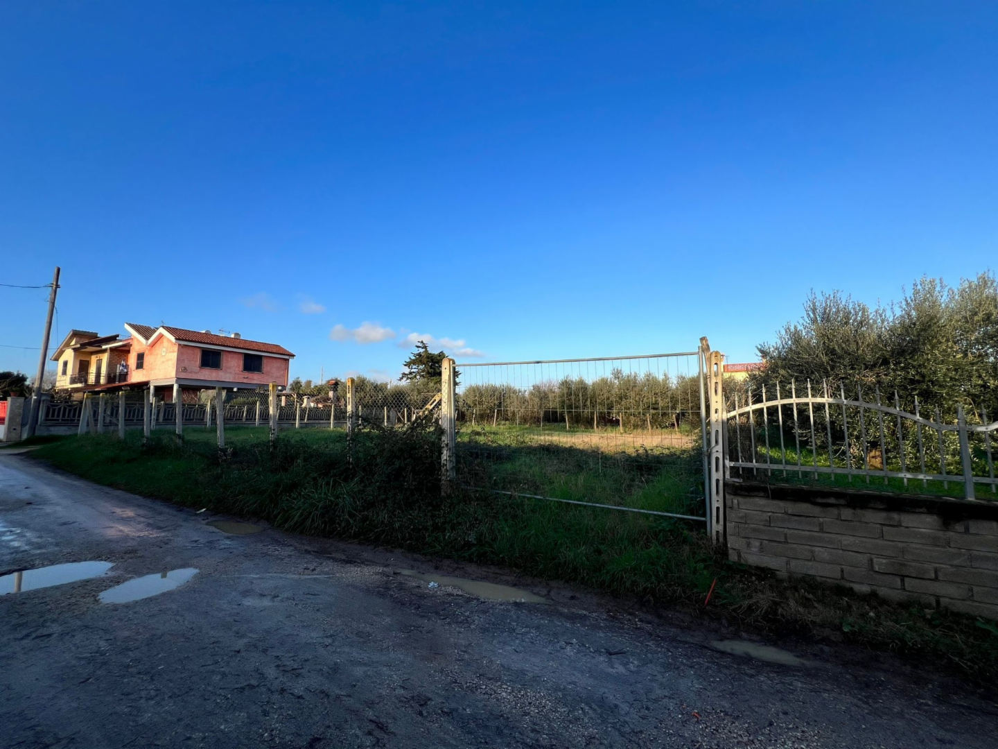 immagine annuncio 3 di 7