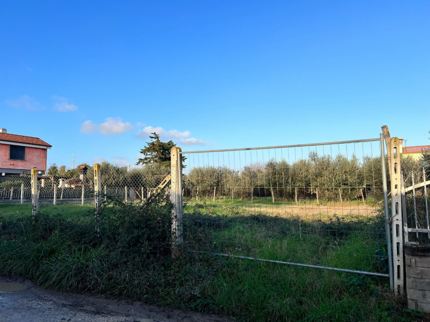 immagine annuncio 4 di 7