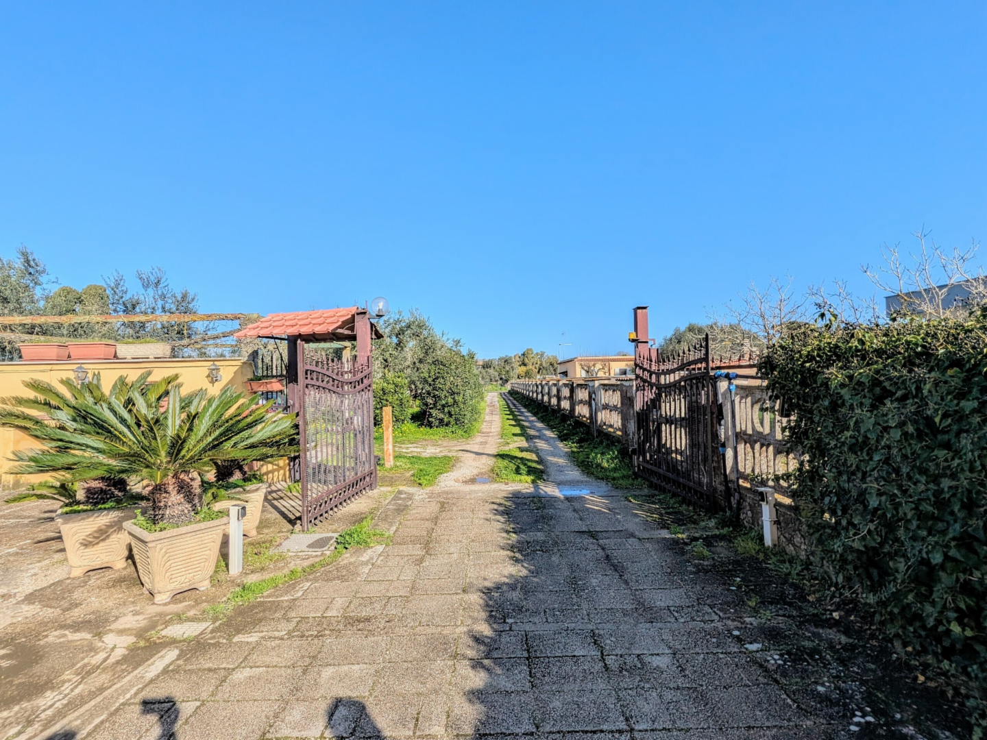 immagine annuncio 3 di 10