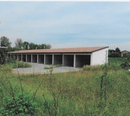 immagine annuncio 2 di 7