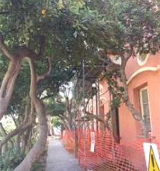 immagine annuncio 4 di 7