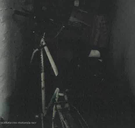 immagine annuncio 3 di 7