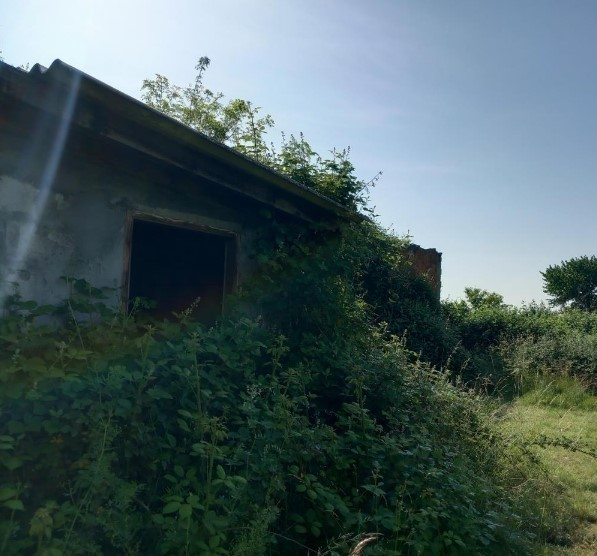 immagine annuncio 1 di 7