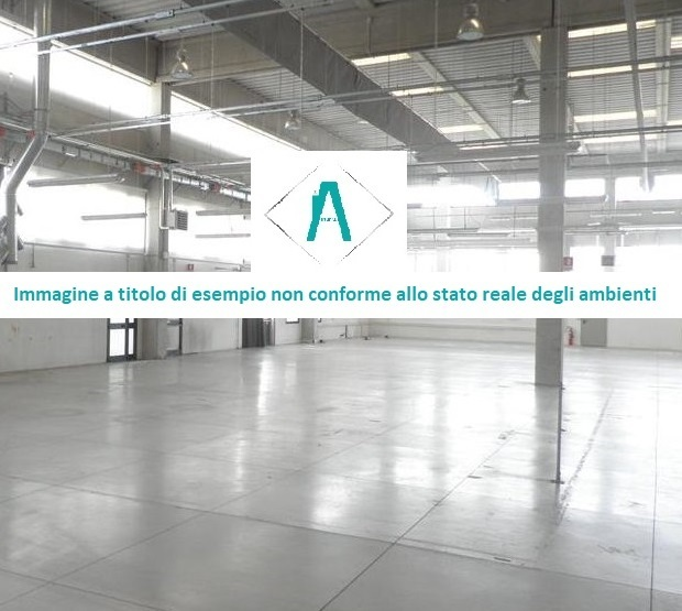 immagine annuncio 3 di 7