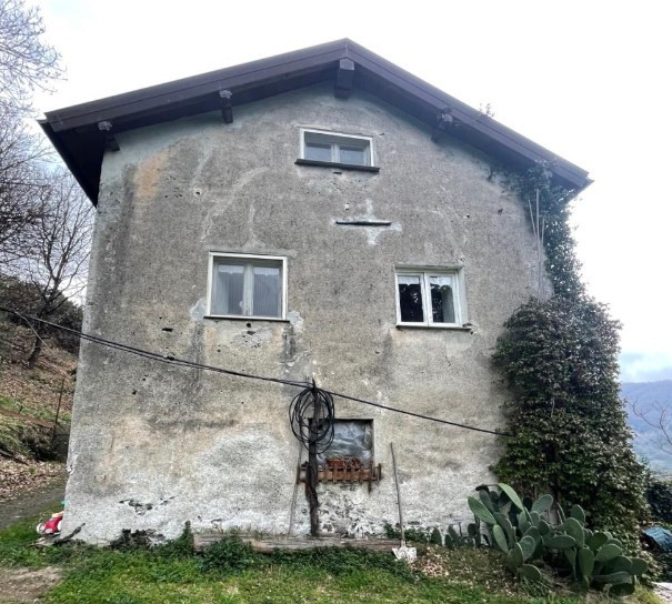 immagine annuncio 4 di 7