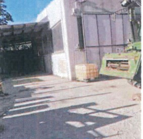 immagine annuncio 4 di 7