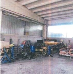 immagine annuncio 3 di 7