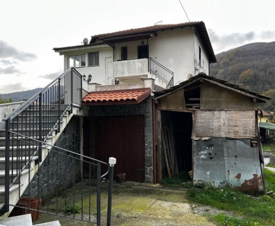 immagine annuncio 4 di 7
