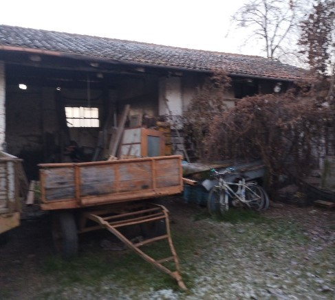 immagine annuncio 4 di 7