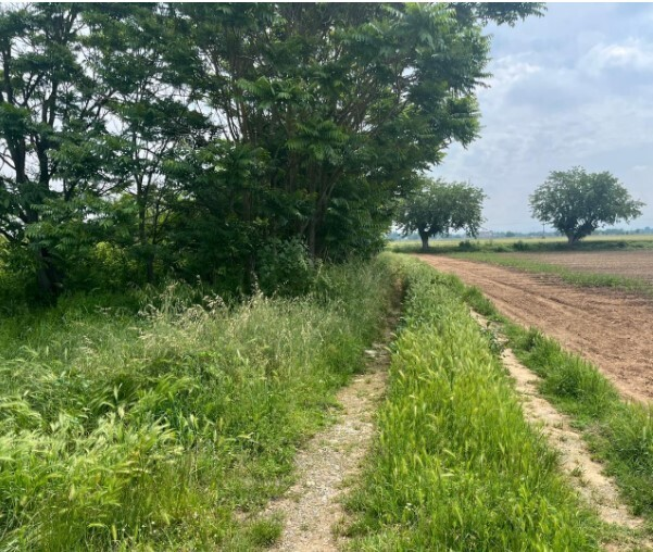 immagine annuncio 1 di 7