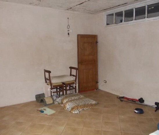 immagine annuncio 3 di 7