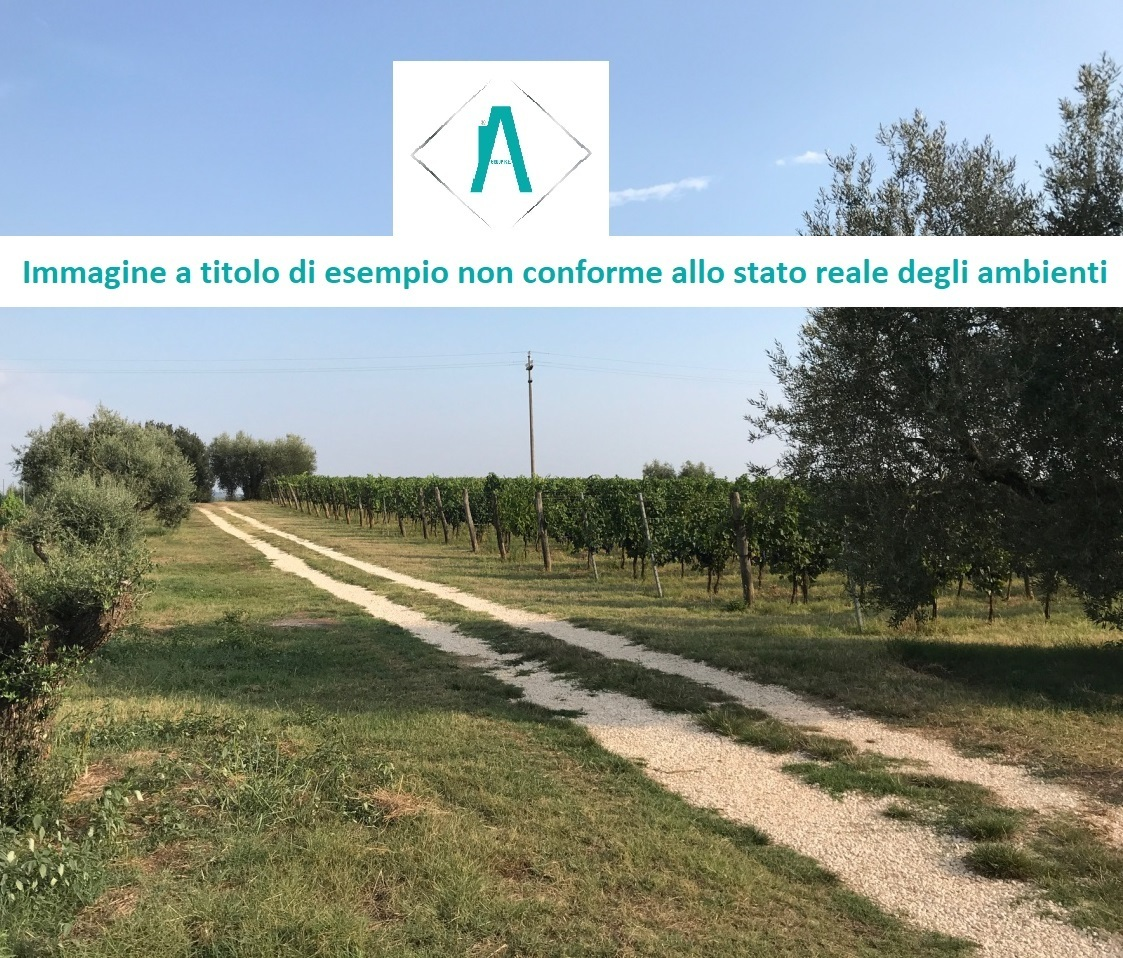 immagine annuncio 4 di 7