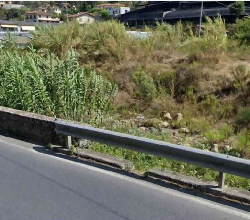 immagine annuncio 1 di 7