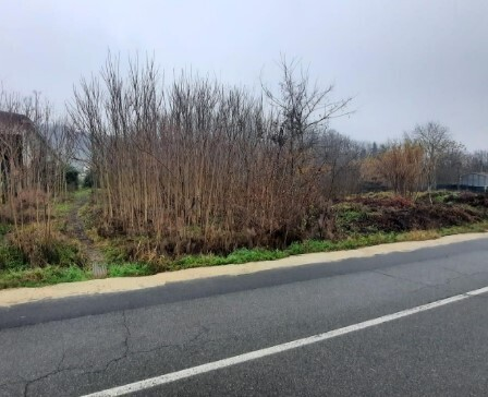 immagine annuncio 3 di 7