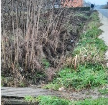 immagine annuncio 4 di 7