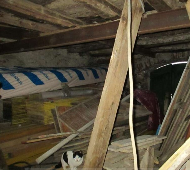 immagine annuncio 3 di 7