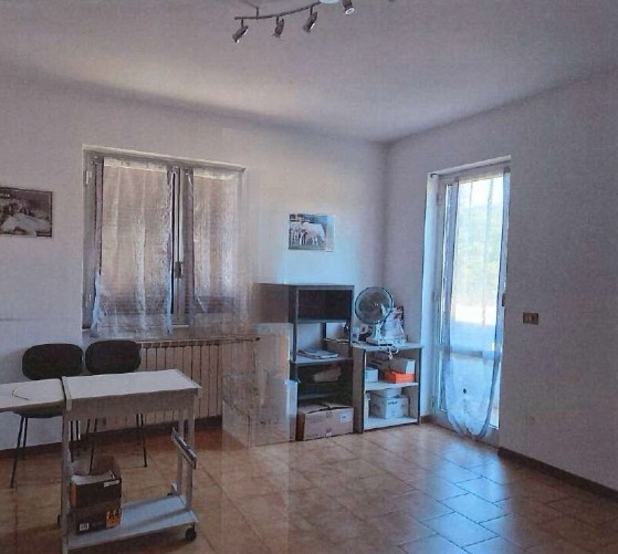 immagine annuncio 4 di 7