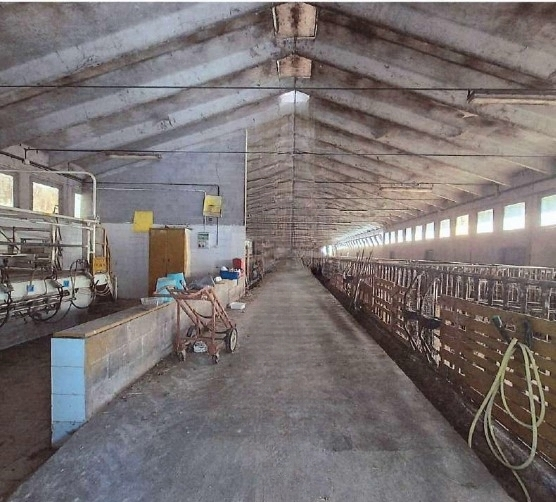 immagine annuncio 6 di 7