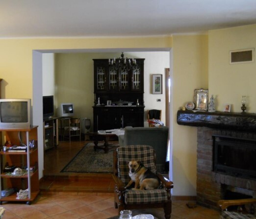 immagine annuncio 3 di 7