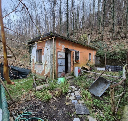 immagine annuncio 8 di 10